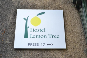 Отель Lemon Tree Hostel  Краков